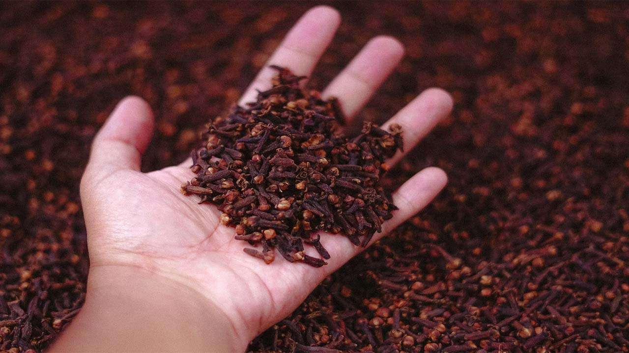 Keep roasted clove powder