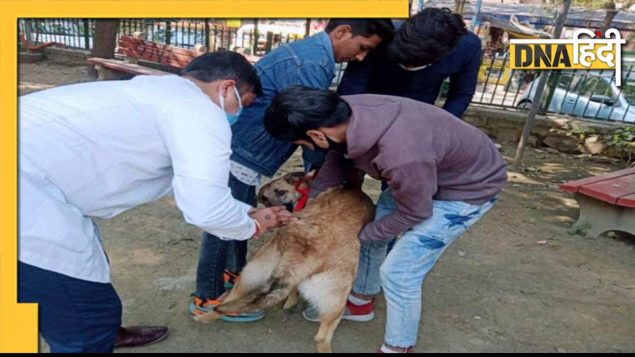 Madhya Pradesh: पादरी ने कुत्ते को मारी गोली, वजह जान कर हैरान रह जाएंगे आप
