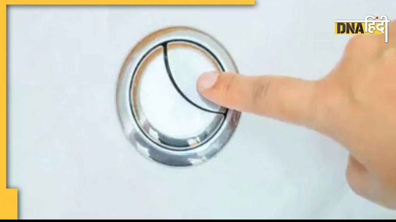 इन देशों में Toilet को लेकर भी बनाए गए हैं कानून, कहीं फ्लश करने पर तो कहीं नहीं करने पर मिलती है सजा!