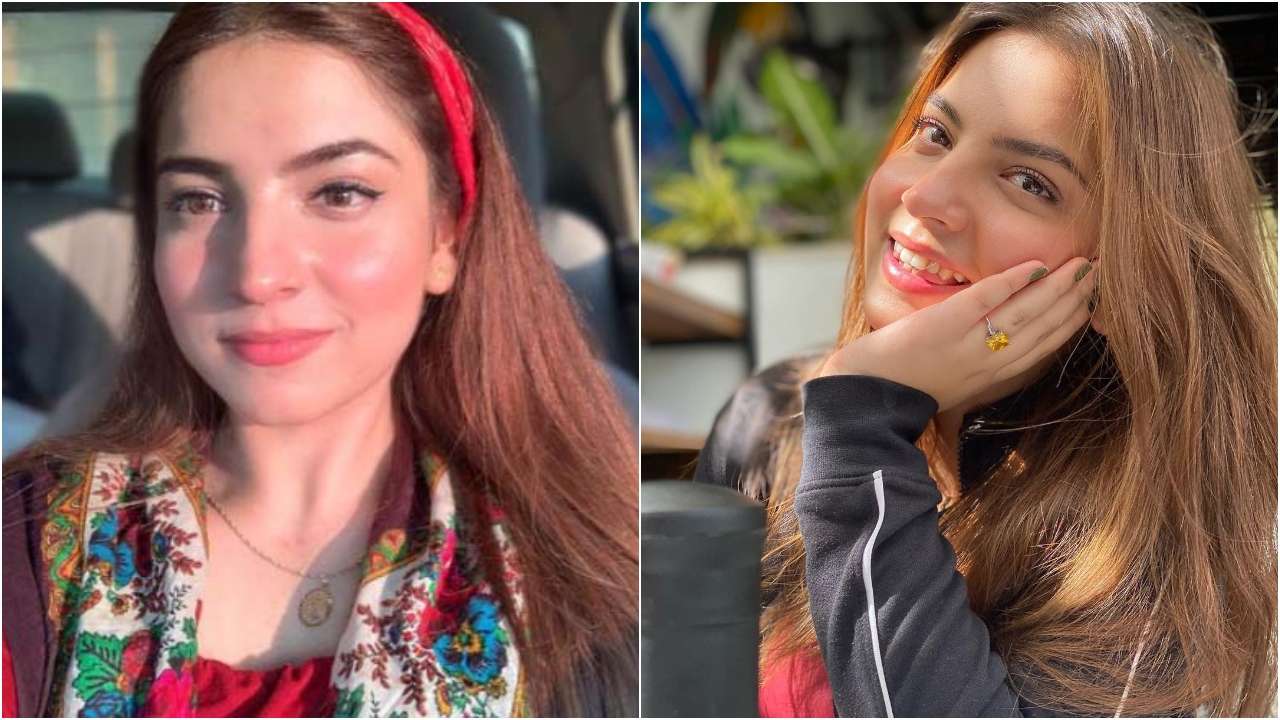 Dananeer Mobeen, 'Pawri Ho Rahi Hai' girl