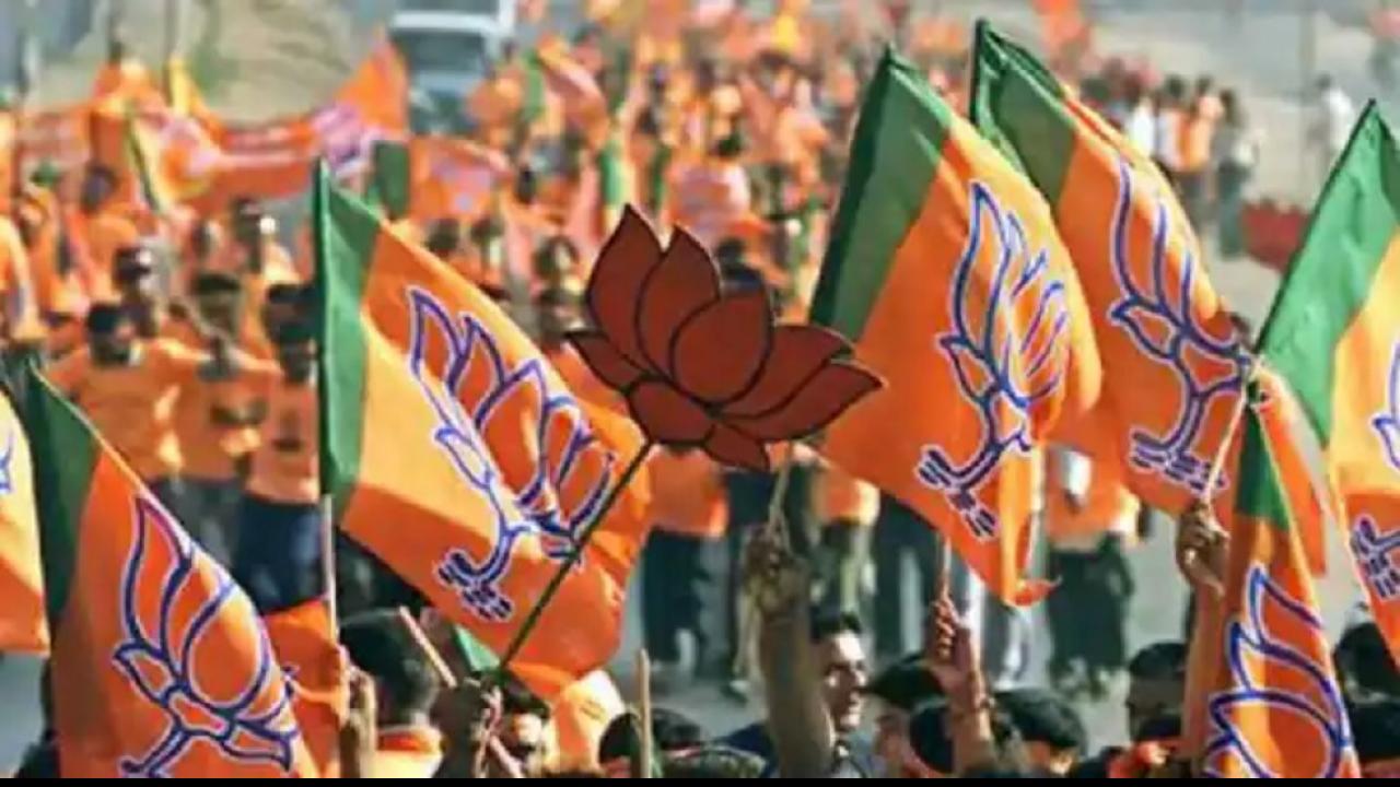 बीजेपी का संदेश हर घर तक पहुंचाने का किया काम