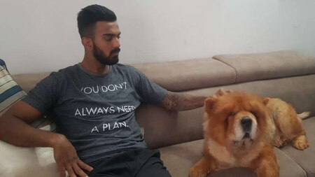 KL Rahul with his dog King Simba at home