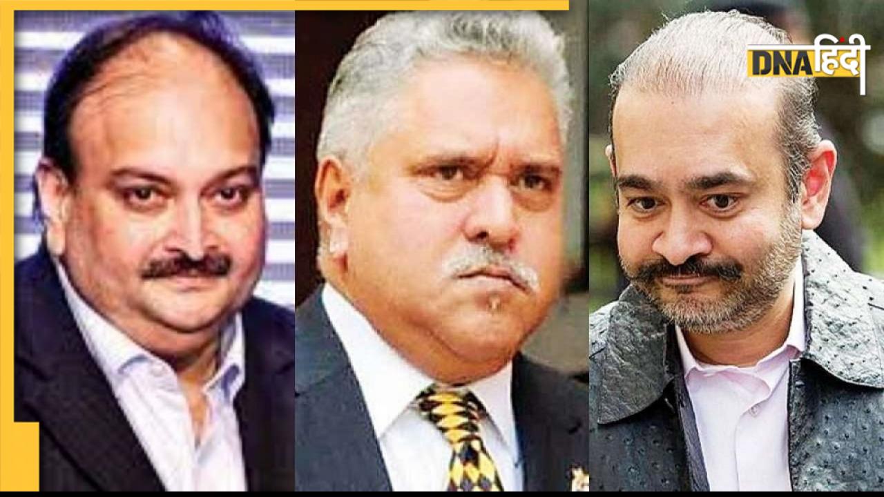Mallya, Nirav Modi और Choksi के खिलाफ सरकार ने अबतक की क्या कार्रवाई? 
