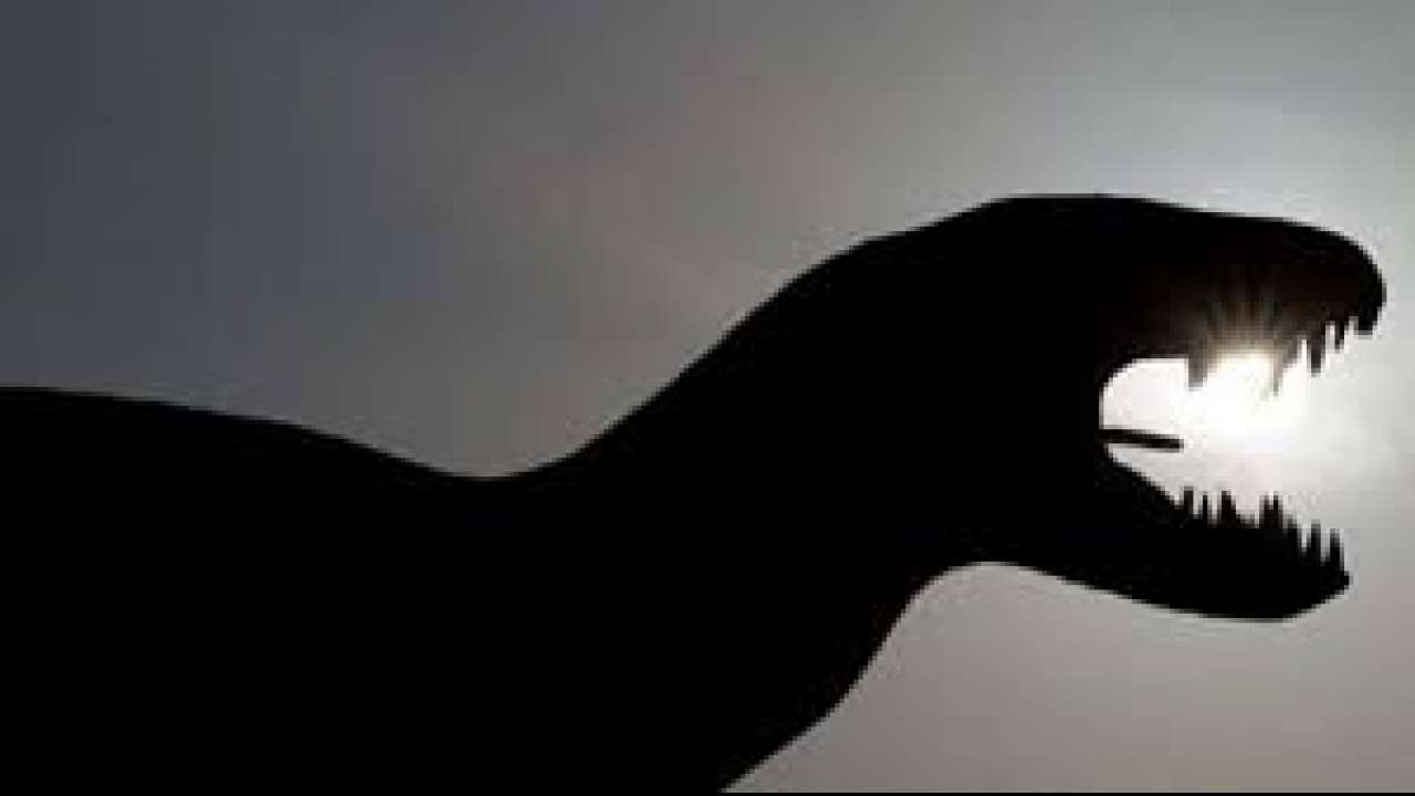 Mystery about dinosaurs finally revealed, here's what scientists say