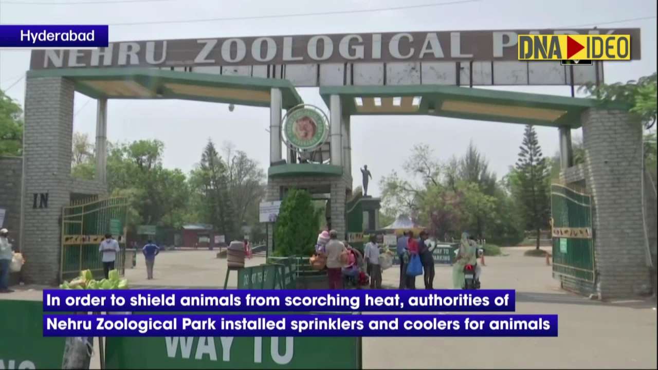 Hyderabad: Nehru Zoological Park takes measures to safeguard animals from  scorching heat