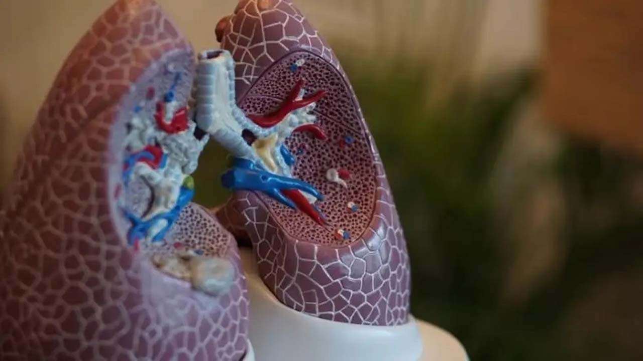 Scientists discover new organ RAS in human body, know how it will help cure  COPD
