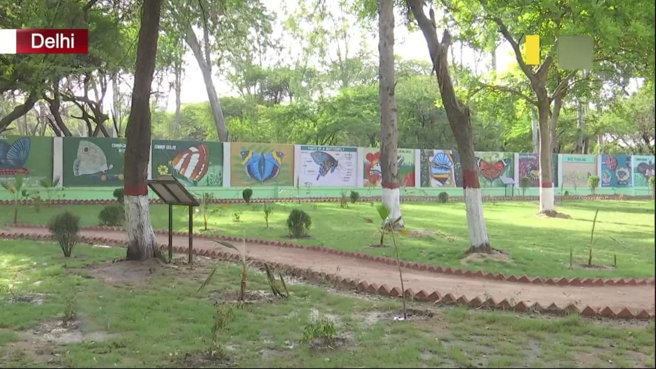 Delhi Butterfly Garden new attraction in Marmurpur