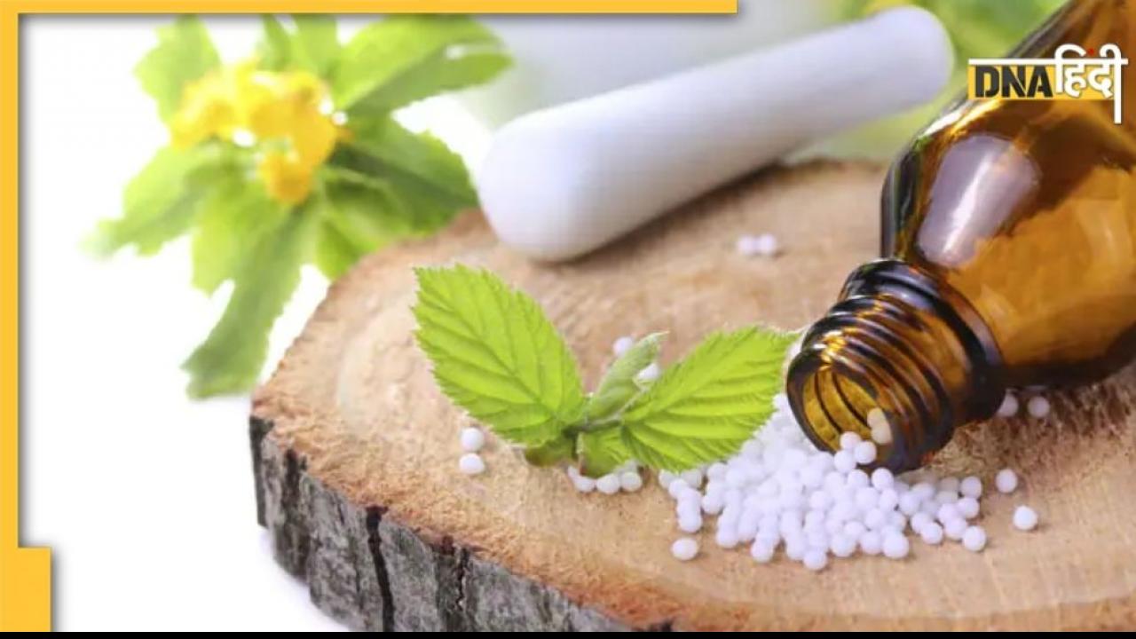 क्यों मनाया जाता है World Homeopathy Day? जानें कैसे हुई थी शुरुआत और क्या है इस बार की थीम