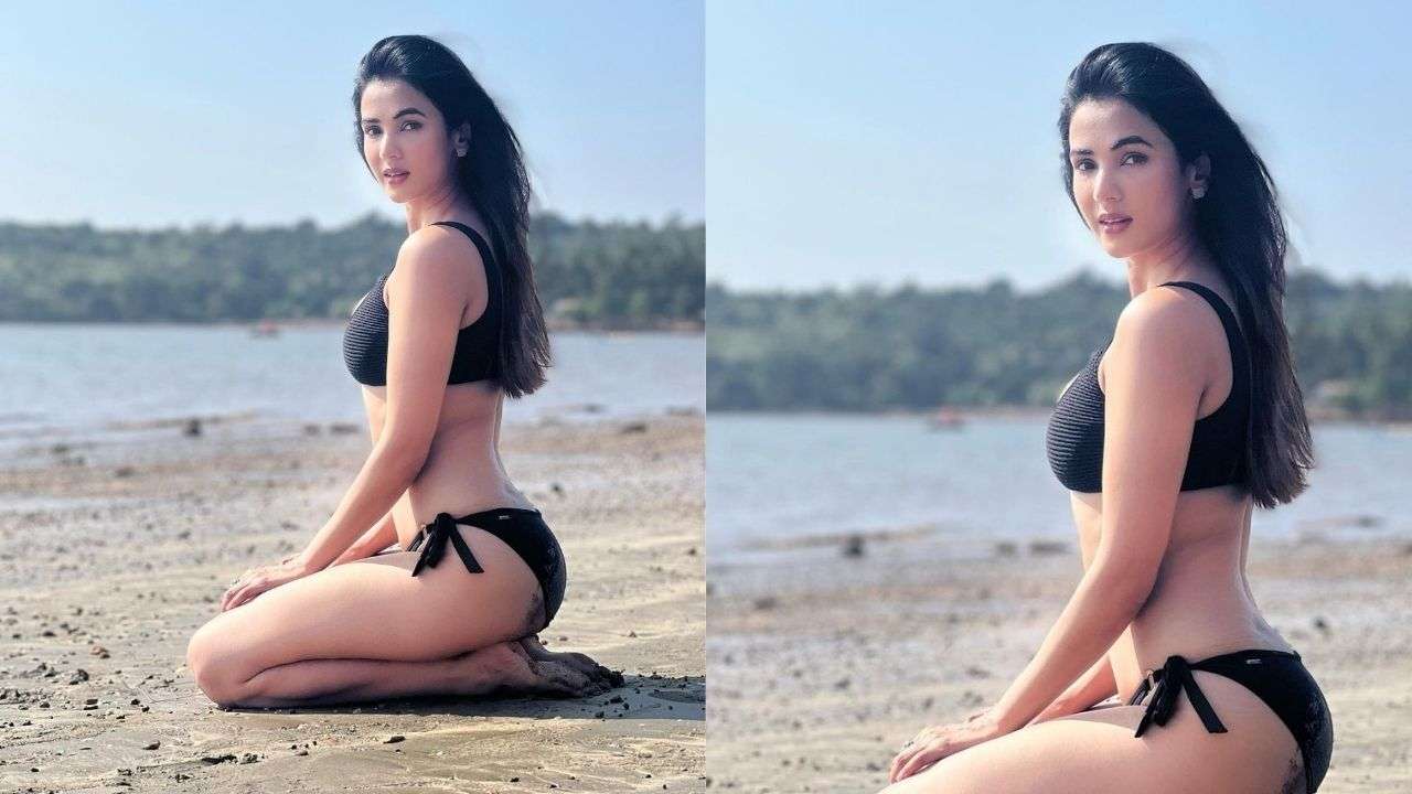 Madhuri Sexy Picture - Sonal Chauhan sets internet on fire with her sexy bikini beach photos