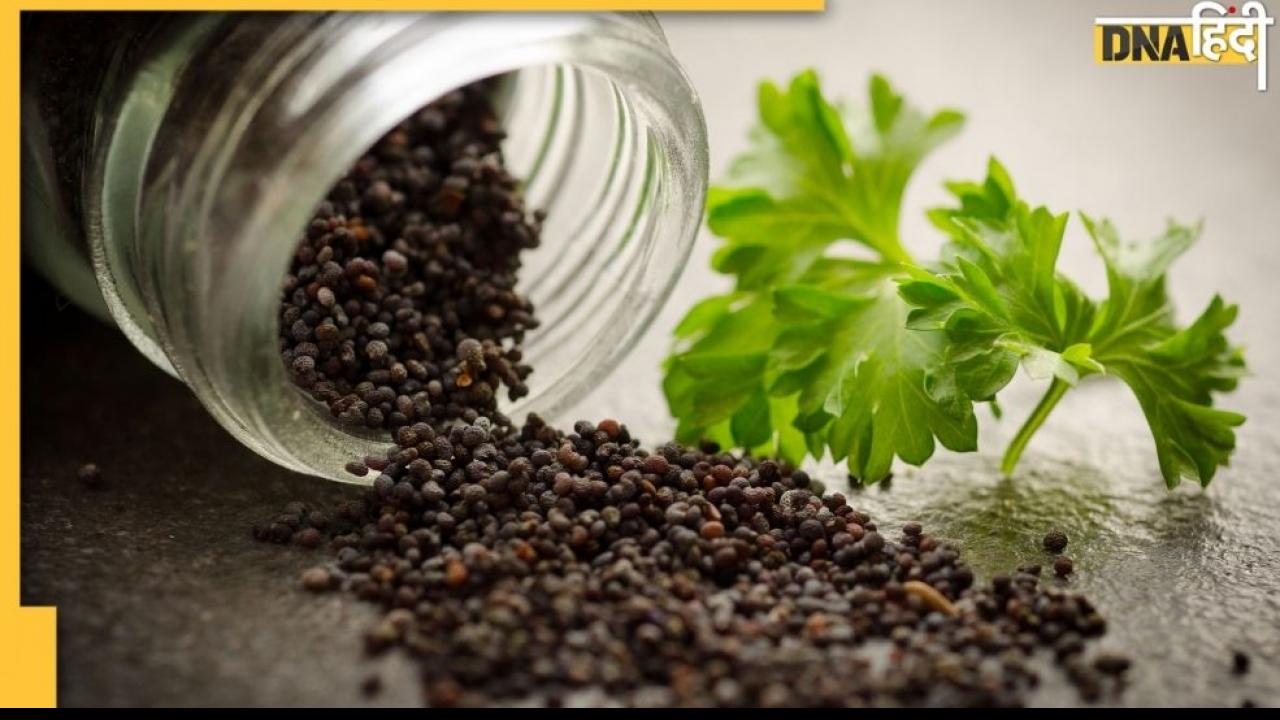 Summer Tips: Blood Sugar Level को कंट्रोल करने के लिए अपनाएं यह उपाय