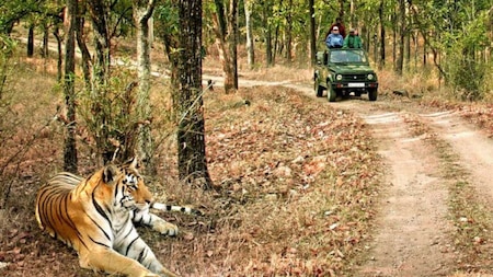 Explore the wildlife in Ramnagar