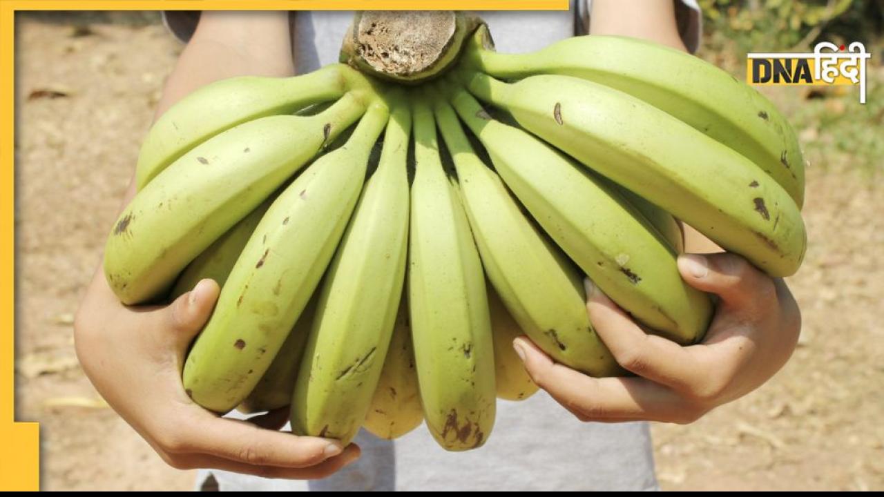 National Banana Day गंगाजल की तरह शुद्ध है यह फल, सड़ जाता है पर नहीं