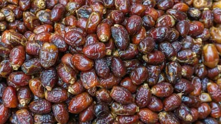 What is the significance of dates in Islam?