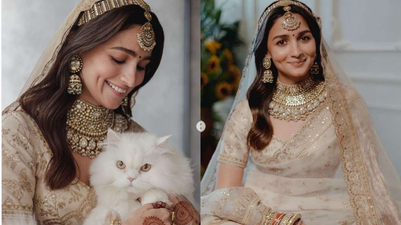 Alia Bhatt Xx Video Original Alia Bhatt Xx Video - Alia Bhatt poses with her cat on wedding day, adorable photo goes VIRAL