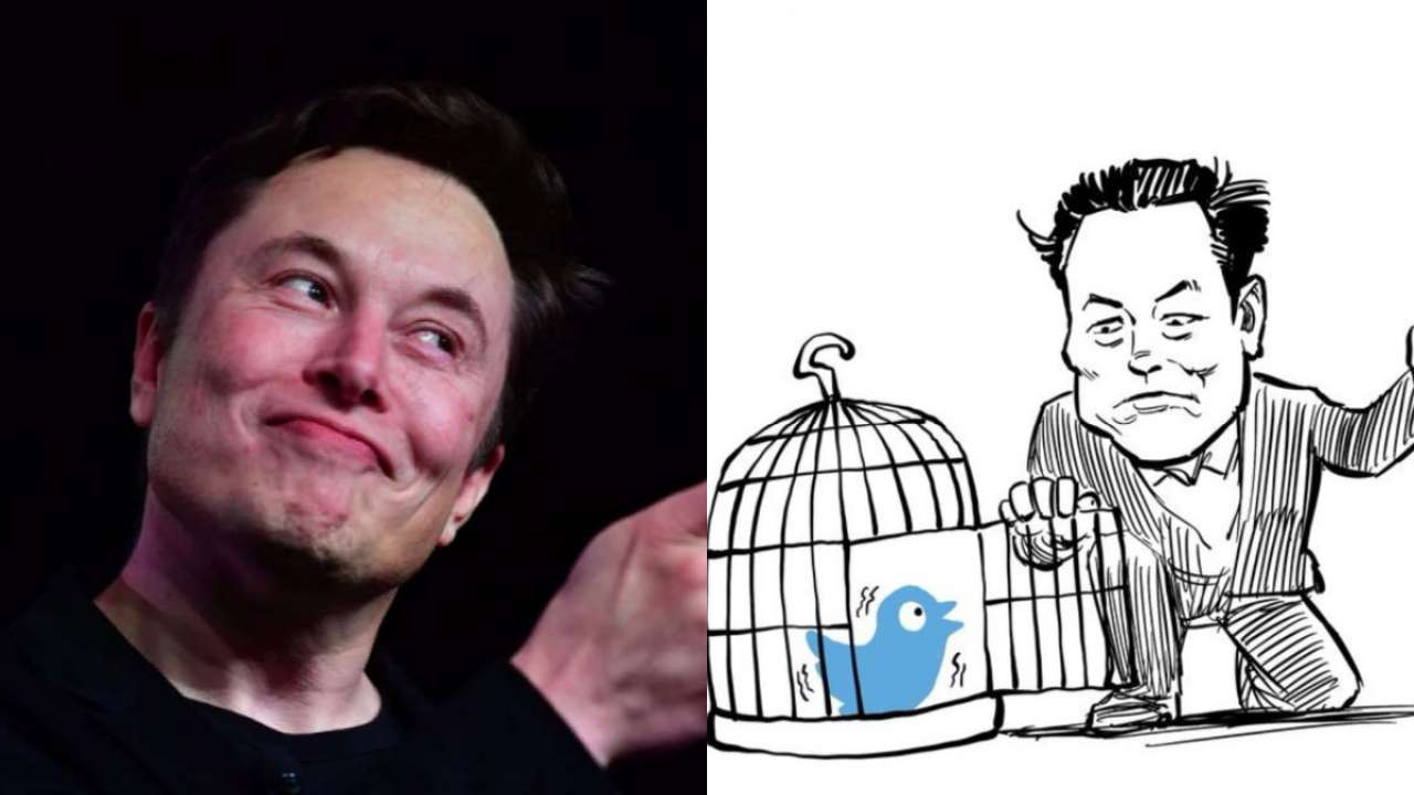 TwitterTakeover trends on social media after 'Meme King' Elon Musk acquires  Twitter Inc
