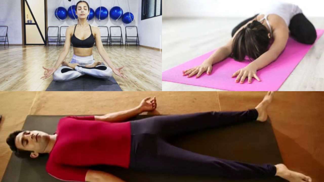 Breath Awareness Yoga Exercise Elderly Woman Stock Vector (Royalty Free)  2161338483 | Shutterstock
