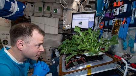 How will plants grow in space without soil?