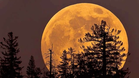 Will lunar eclipse 2022 be visible in India?