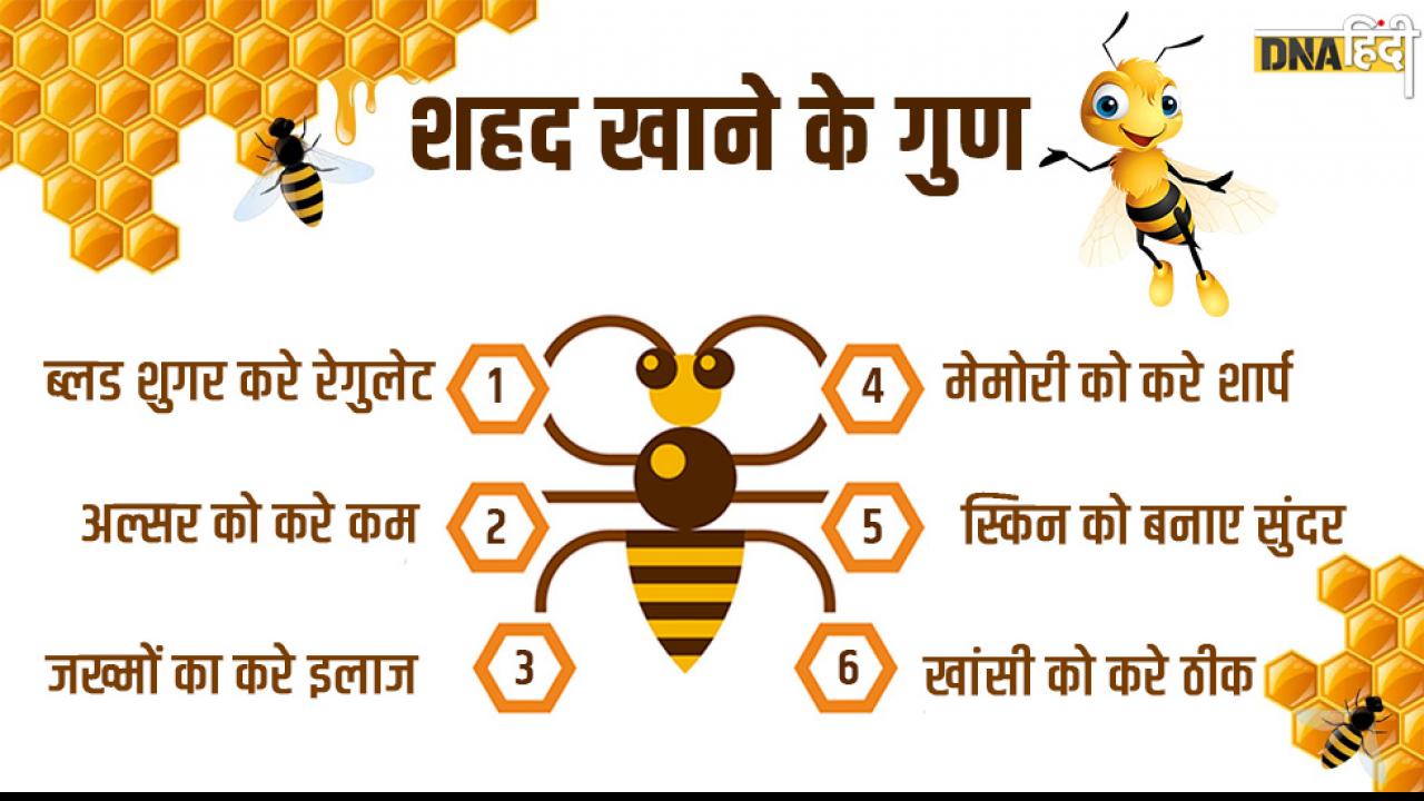 इंसानों के लिए अमृत है शहद (Honey) 