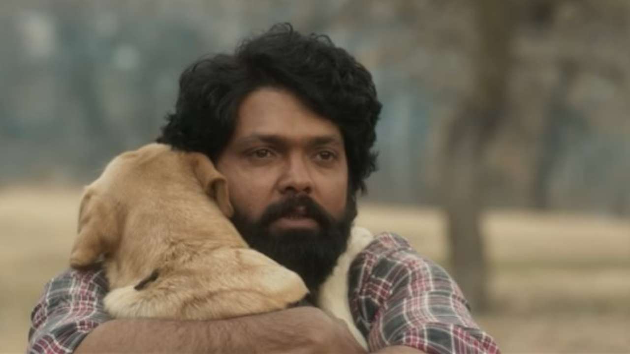 777 Charlie trailer: Rakshit Shetty's bond with his dog will leave you  teary-eyed