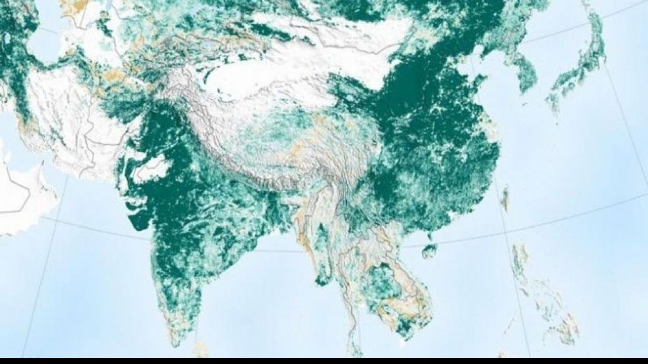 Green Earth में भारत का दबदबा 