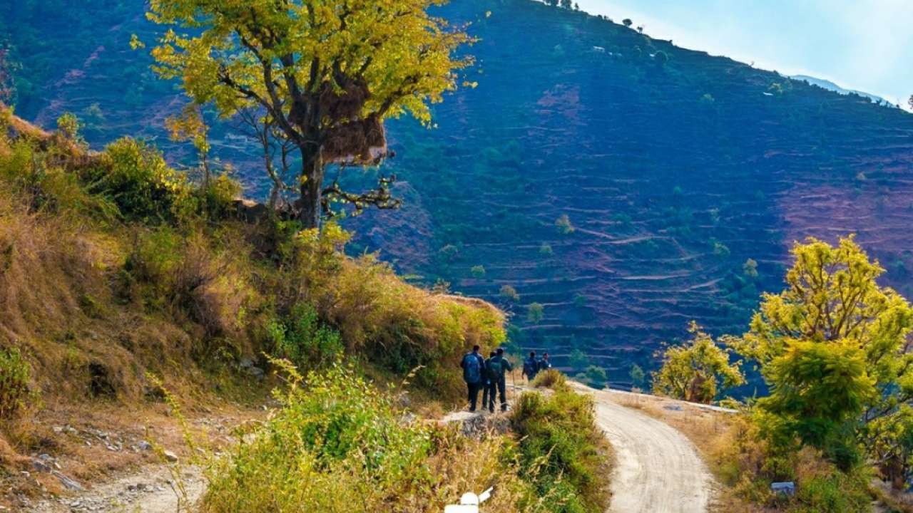 Nag Tibba Trek