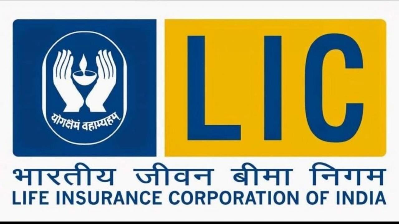 LIC IPO को मिला था अच्छा रिस्पॉन्स 