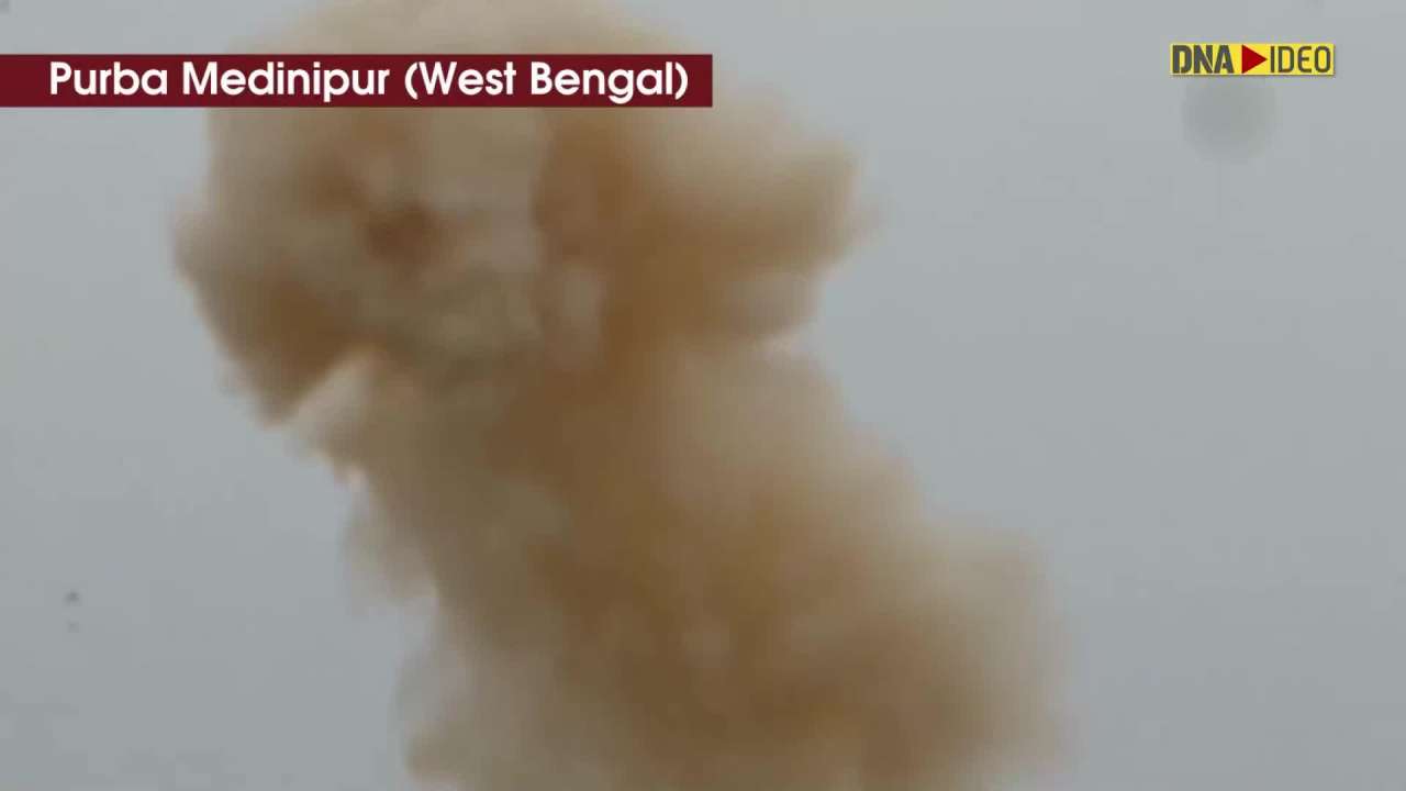 WB: Bomb Disposal Squad neutralises bombs found in Hogla forest area in Medinipur