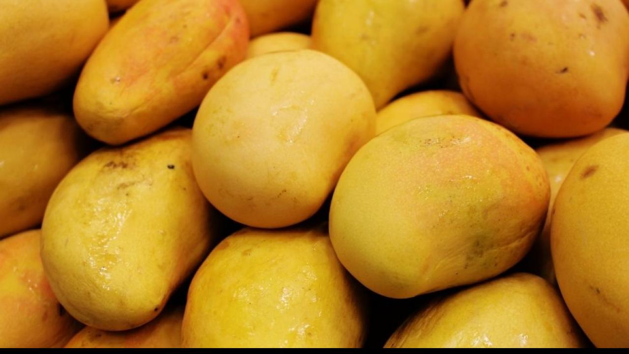 Mango के सेवन को करें कंट्रोल