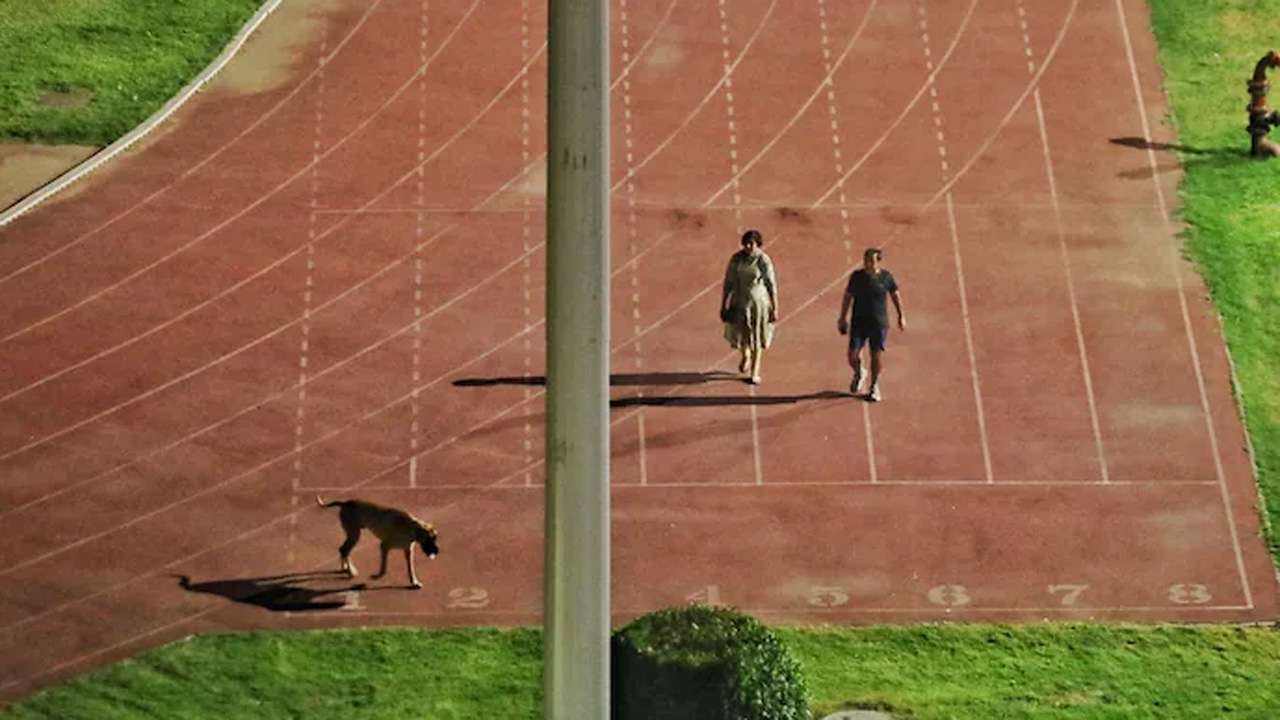 IAS officer who walked dog in Delhi's Thyagraj Stadium transferred to Ladakh  for 'misusing position'