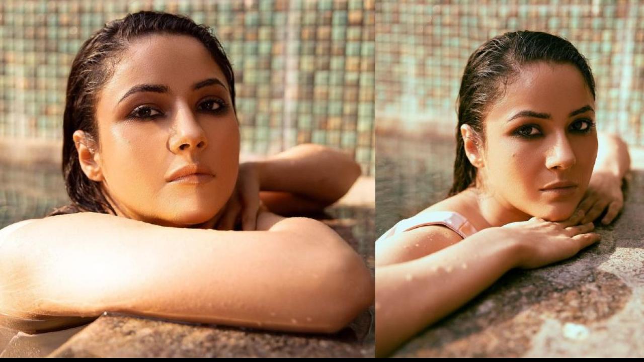 Shehnaaz Gill Intense Pool Look