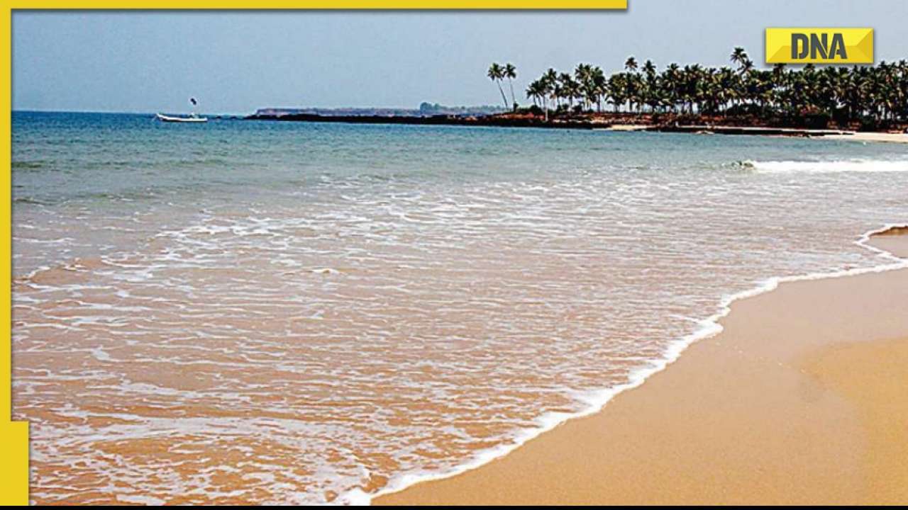 World oceans day 2022: know history, significance and more