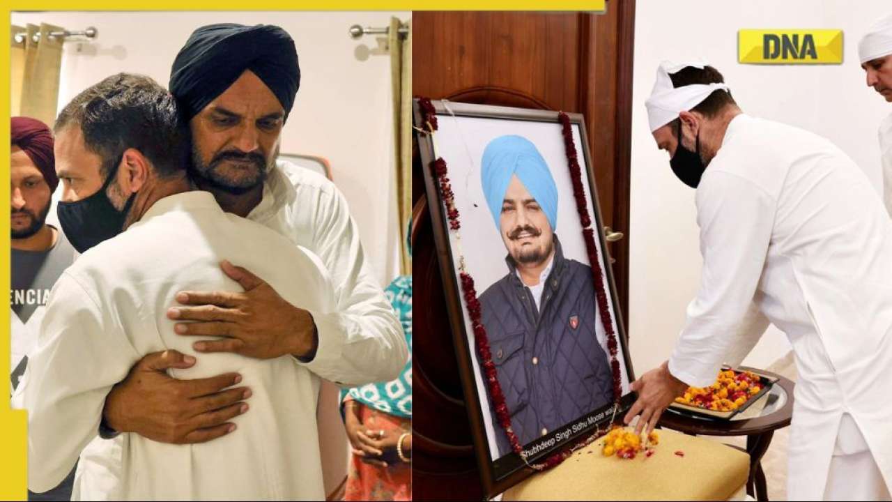 No Law And Order In Punjab Congress Will Get Justice For Sidhu Moose Wala Rahul Gandhi After