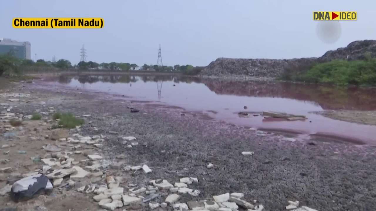 Tamil Nadu: Lake turns pink causing concern among residents in Chennai