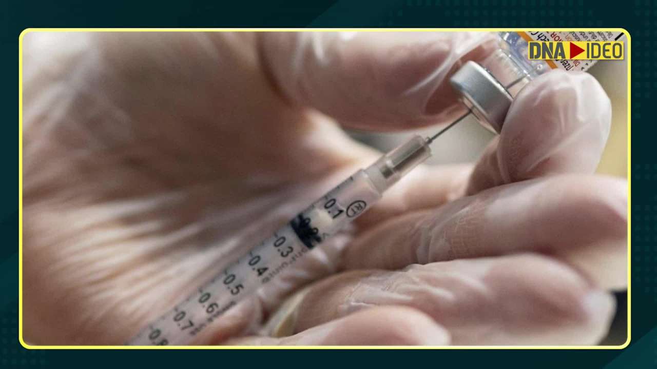 India’s first Covid-19 vaccine for animals: How it works and why the need was felt