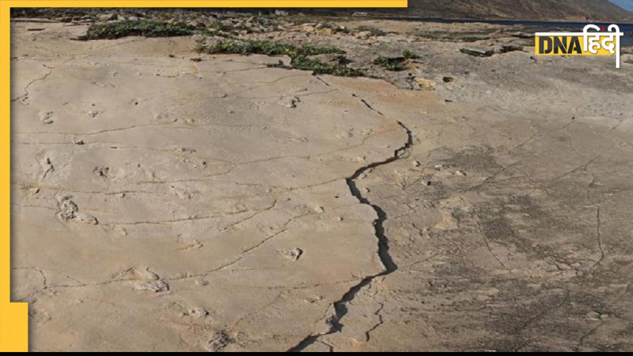 Ice Age Human Footprints: 23,000 पहले के मानव पैरों के मिले निशान, हैरान करने वाले तथ्य आए सामने
