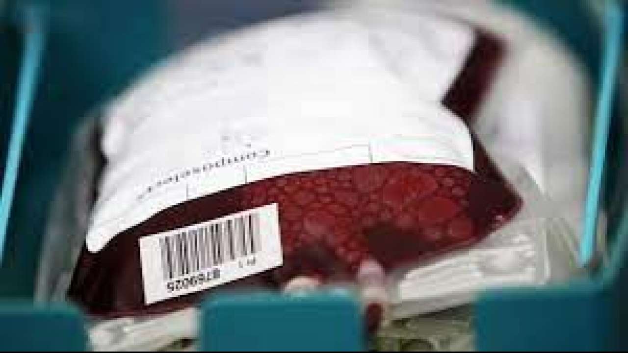 What is the significance of World Blood Donor Day?