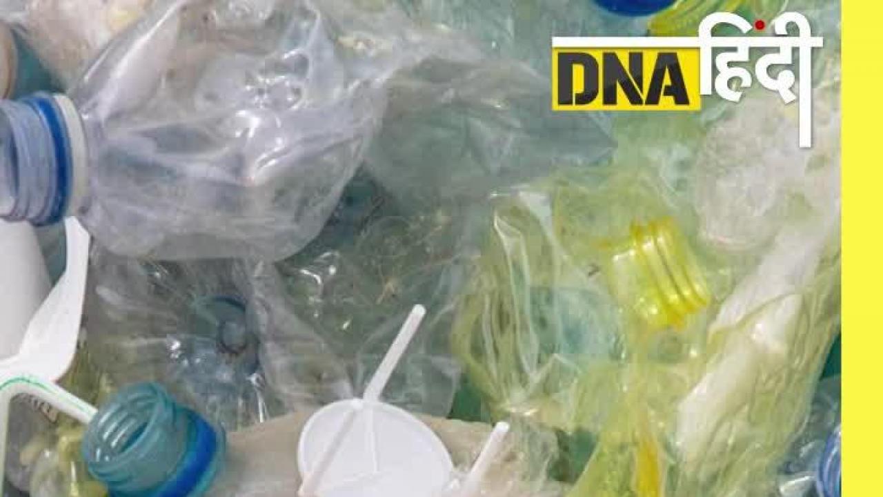 Video : Plastic खाने वाला कीड़ा