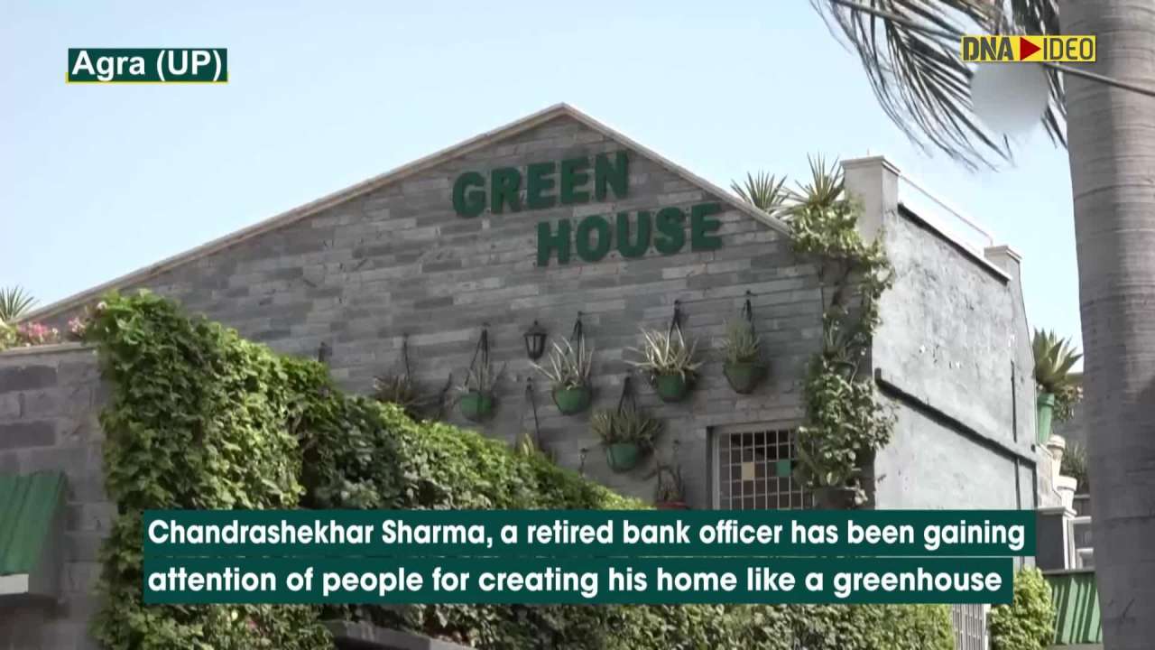 Man from Agra garners attention for creating ‘greenhouse’