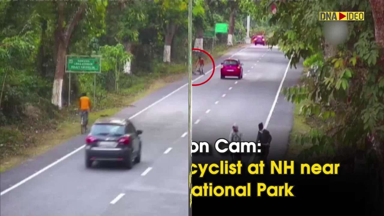 Caught on Cam: Leopard attacks cyclist at NH near Kaziranga National Park