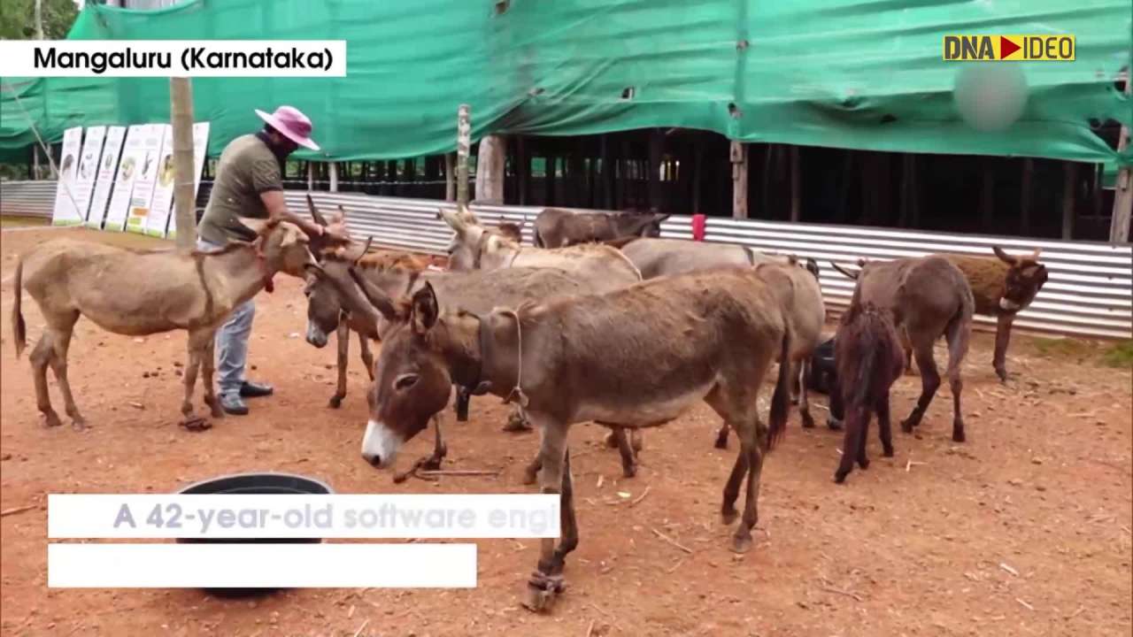 42-year-old software engineer quits job to open ‘Donkey Milk Farm’ in Karnataka's Mangaluru