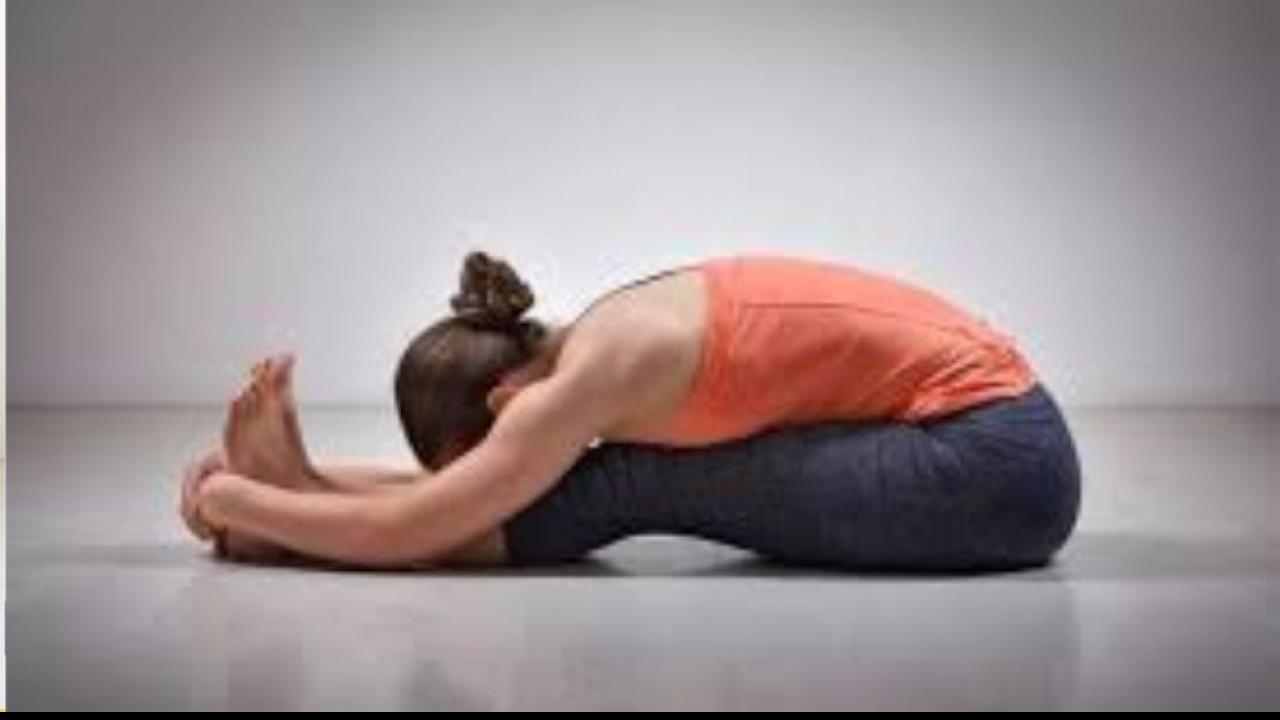 पश्चिमोत्तानासन (Paschimottanasana)