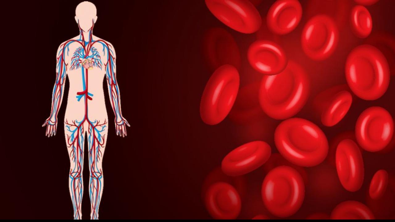 रोजाना खाएं ये 7 चीजें, शरीर में तेजी से बढ़ेगा खून, Anemia से होगा बचाव