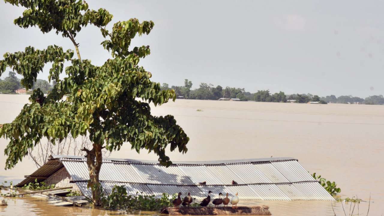 House completely submerged in Nagaon