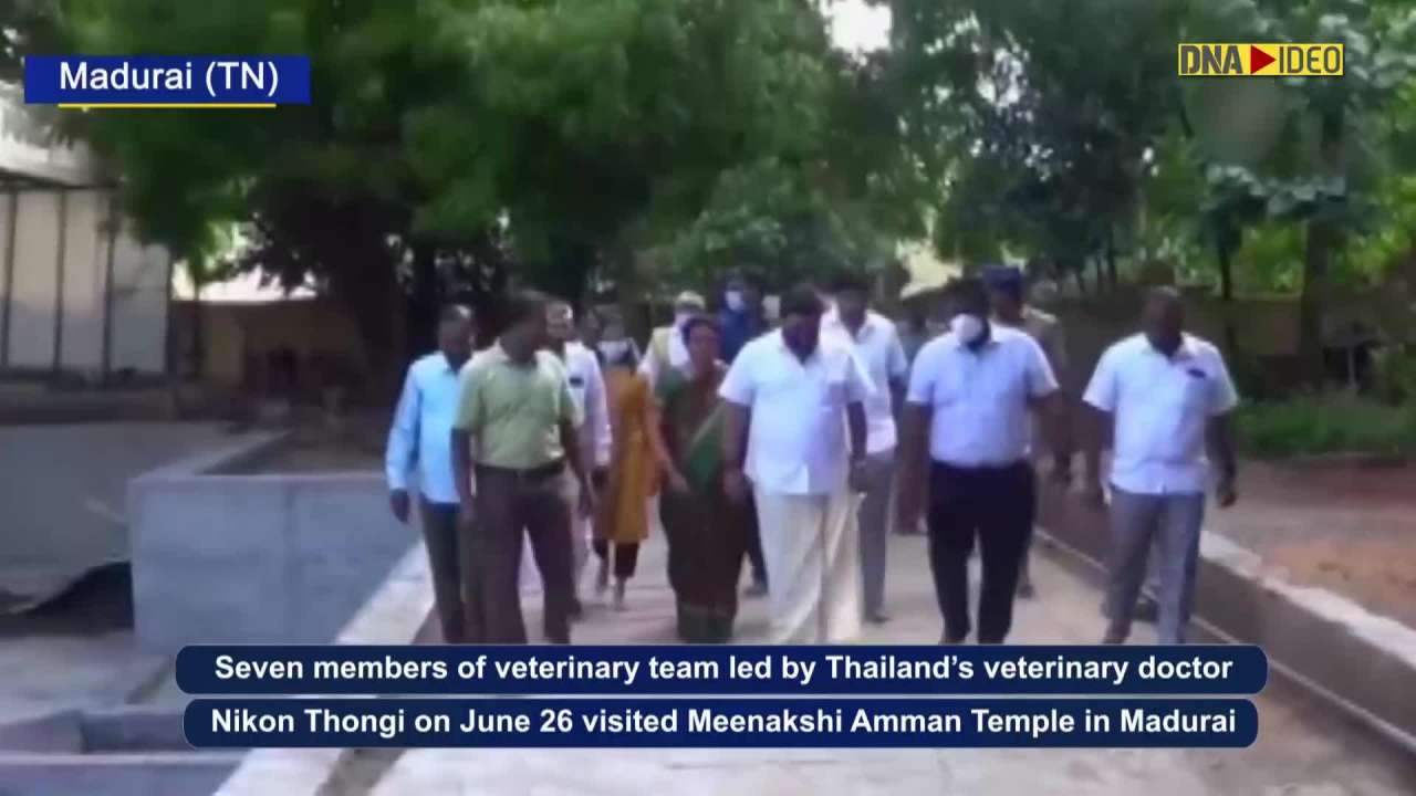 Tamil Nadu: Veterinary team visits Meenakshi Amman Temple to treat elephant Parvati in Madurai
