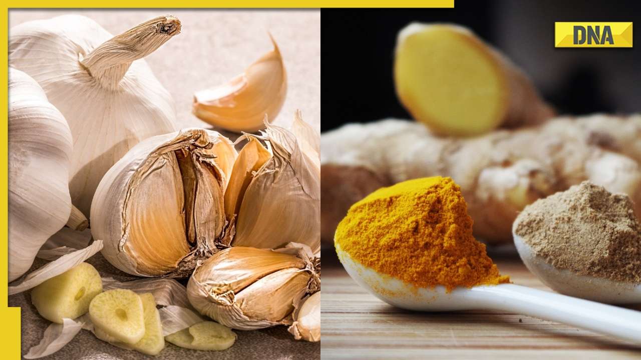Turmeric, Garlic, Nuts 5 foods to include in your monsoon diet