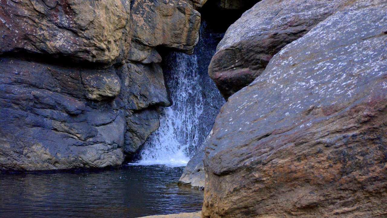 Coorg,Karnataka