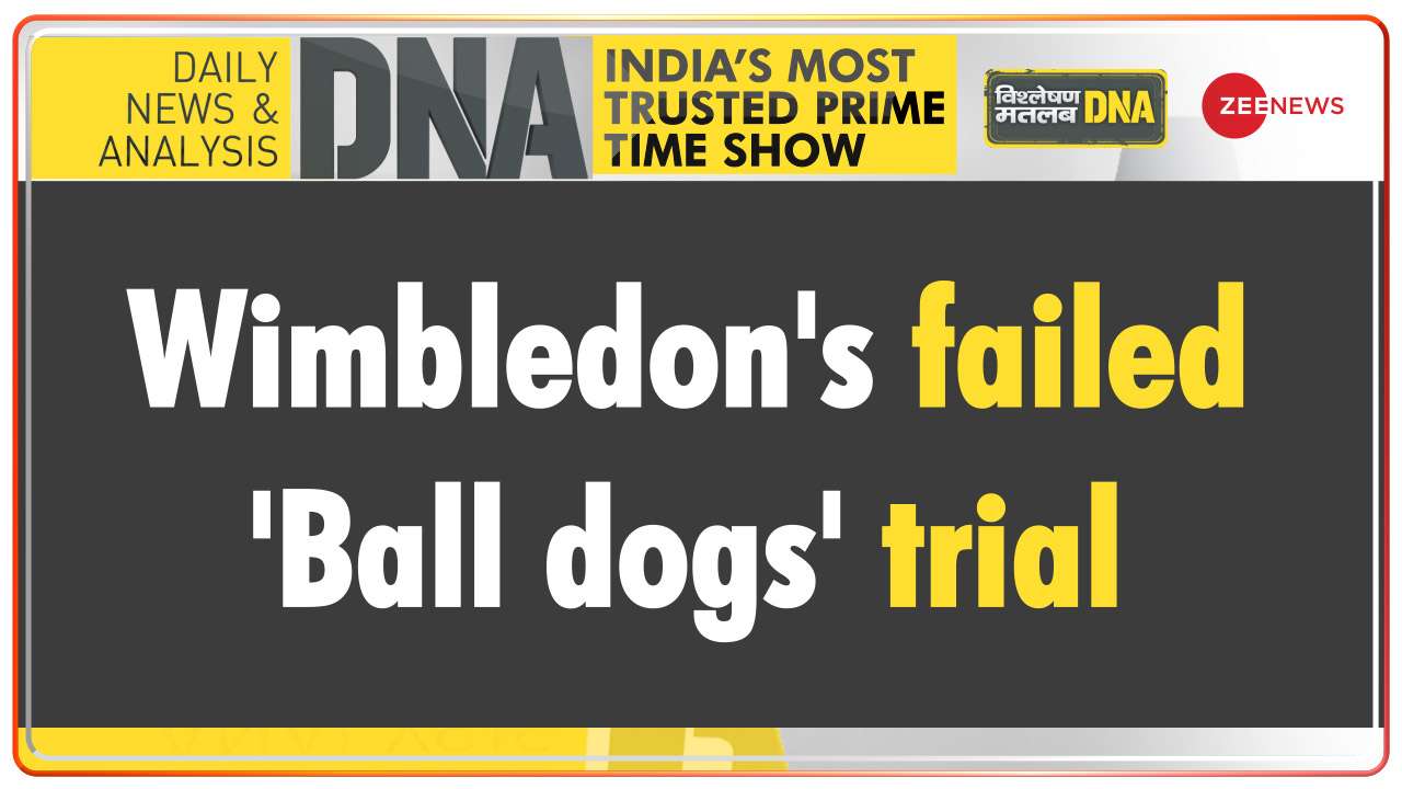 DNA : Ball Dogs | Have you heard about it?