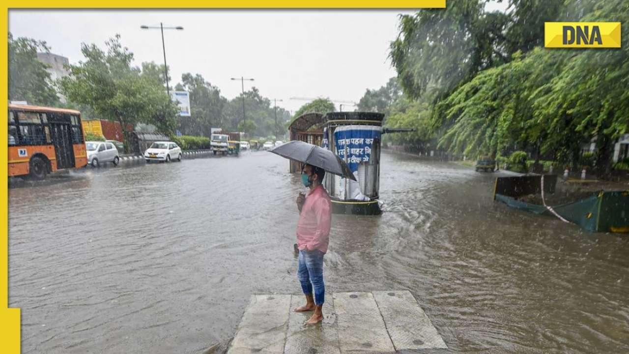 Delhi weather forecast: Will it rain in Delhi on Sunday?