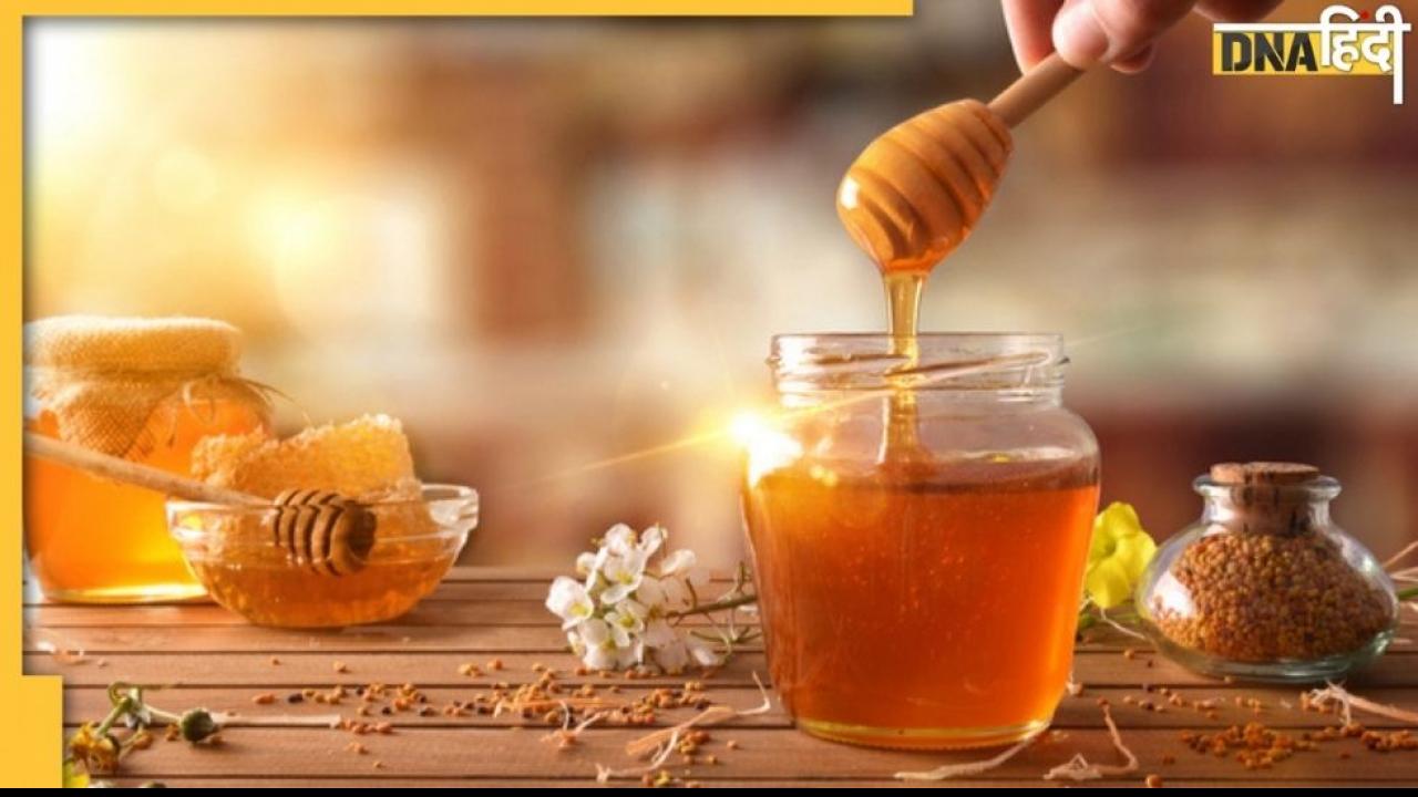 Honey Side Effects: अमृत कहते हैं शहद को पर इन लोगों के लिए है मुसीबत की खान…
